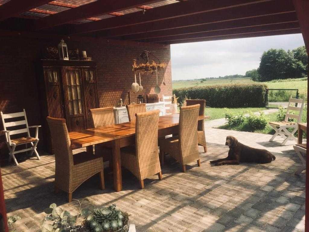 Ferienwohnung Higgen Adamla Stedesdorf Exterior foto